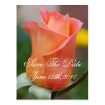 Moment In Time Save The Date Postcard