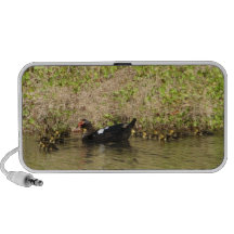 Momma and Baby Ducks Doodle Speaker System