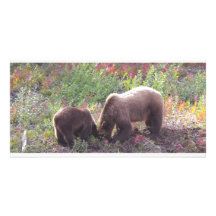 Momma Grizzly bear & Cub Photo Card Template