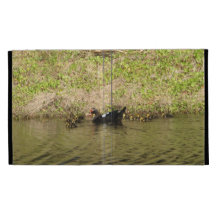 Momma Muscovy and Baby Ducks Caseable Case iPad Cases