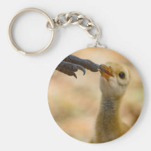 Mom's Foot Key Chains