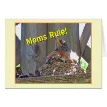 Mom's Rule Mother Robin card