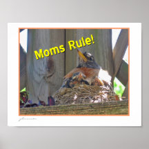 Moms Rule Robin Mother's Day poster
