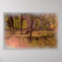 Mon cheval, mon individu, mon monde posters