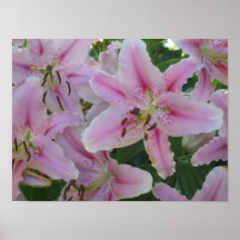 Mona Lisa Daylilies Poster