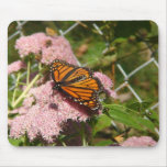 MONACH BUTTERFLY MOUSE MAT