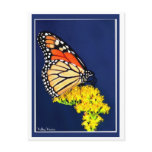 Monarch and Yellow Strife Postcards