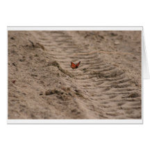 Monarch Blank Card