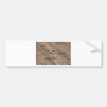 Monarch Bumper Stickers