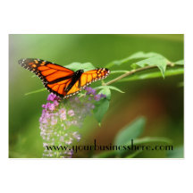 Monarch Business Card Template