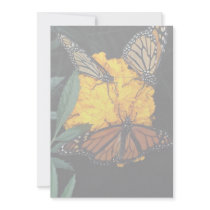 Monarch butterflies feeding personalized invitations