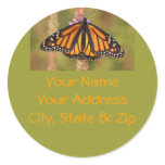 Monarch Butterfly Address Label Round Stickers