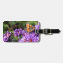 Monarch butterfly and purple flowers