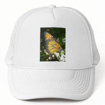 Monarch Butterfly Baseball Hat