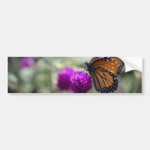 Monarch Butterfly Bumper Sticker