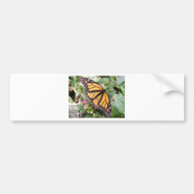 Monarch Butterfly Bumper Stickers