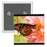 Monarch Butterfly Buttons