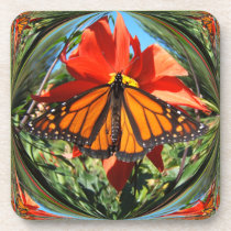 Monarch Butterfly ~ Cork Coaster cork coasters