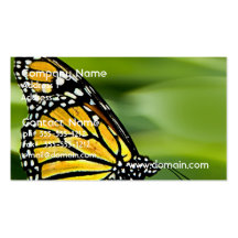 Monarch Butterfly Design Business Cards