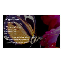 Monarch butterfly  flowers business card template