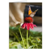Monarch Butterfly Greeting Card