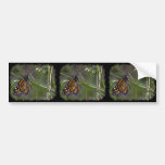 Monarch Butterfly in the Grass Bumper Sticker