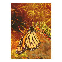 Monarch Butterfly Invitation