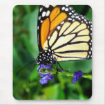 Monarch Butterfly Mousepads
