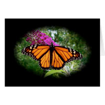 Monarch Butterfly Note Card