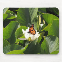 Monarch Butterfly on a Lily Pad Mouse Pads