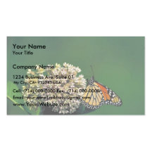 Monarch butterfly on Common milkweed Business Cards