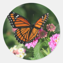 Monarch Butterfly on Lantana Flower Stickers
