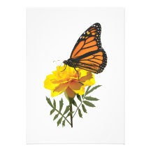 Monarch Butterfly on Marigold Personalized Invite