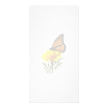 Monarch Butterfly on Marigold Photo Greeting Card