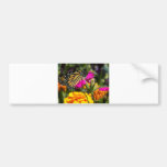 Monarch butterfly on pink marigold-bumper sticker