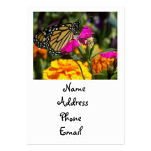 Monarch butterfly on pink marigold-business cards