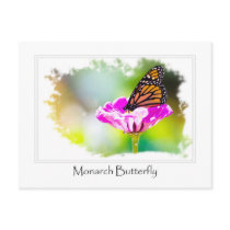 Monarch Butterfly on Purple Flower
