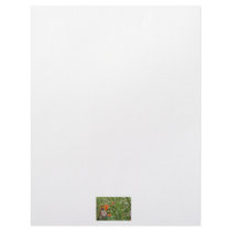 Monarch butterfly on red orange flower plant custom letterhead