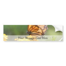 Monarch Butterfly on Siberian Wallflowers Bumper Sticker