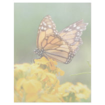 Monarch Butterfly on Siberian Wallflowers Customized Letterhead