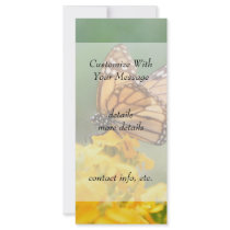 Monarch Butterfly on Siberian Wallflowers Rack Cards