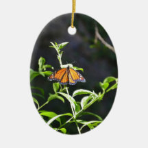 Monarch Butterfly. Ornaments