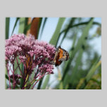Monarch Butterfly posters