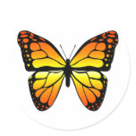 Monarch Butterfly Sticker