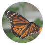 Monarch Butterfly Sticker