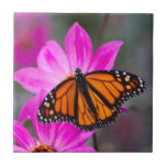 Monarch Butterfly Tile