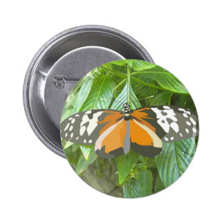 monarch butterfly vector art animation cartoon pinback button