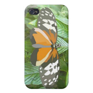 monarch butterfly vector art animation cartoon iPhone 4 cases