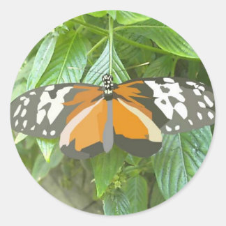 monarch butterfly vector art animation cartoon round sticker