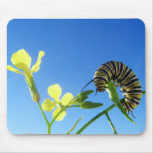 Monarch Caterpillar Mouse Pad